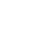 100% гарантия